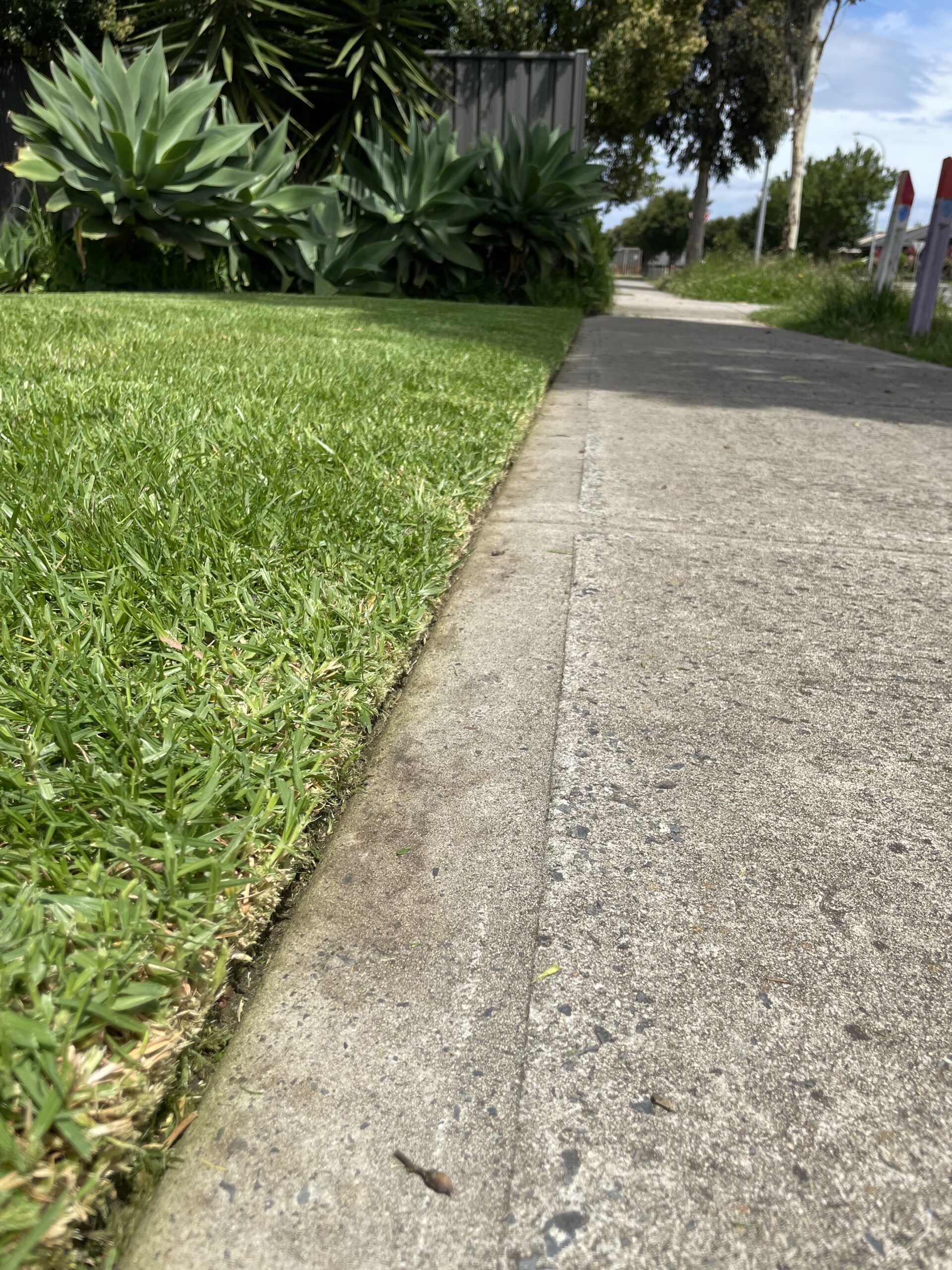 garden-edged-lawn-mowing