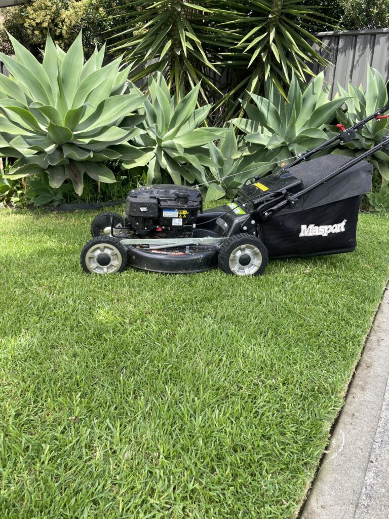 lawn-mower-lawn-mowing